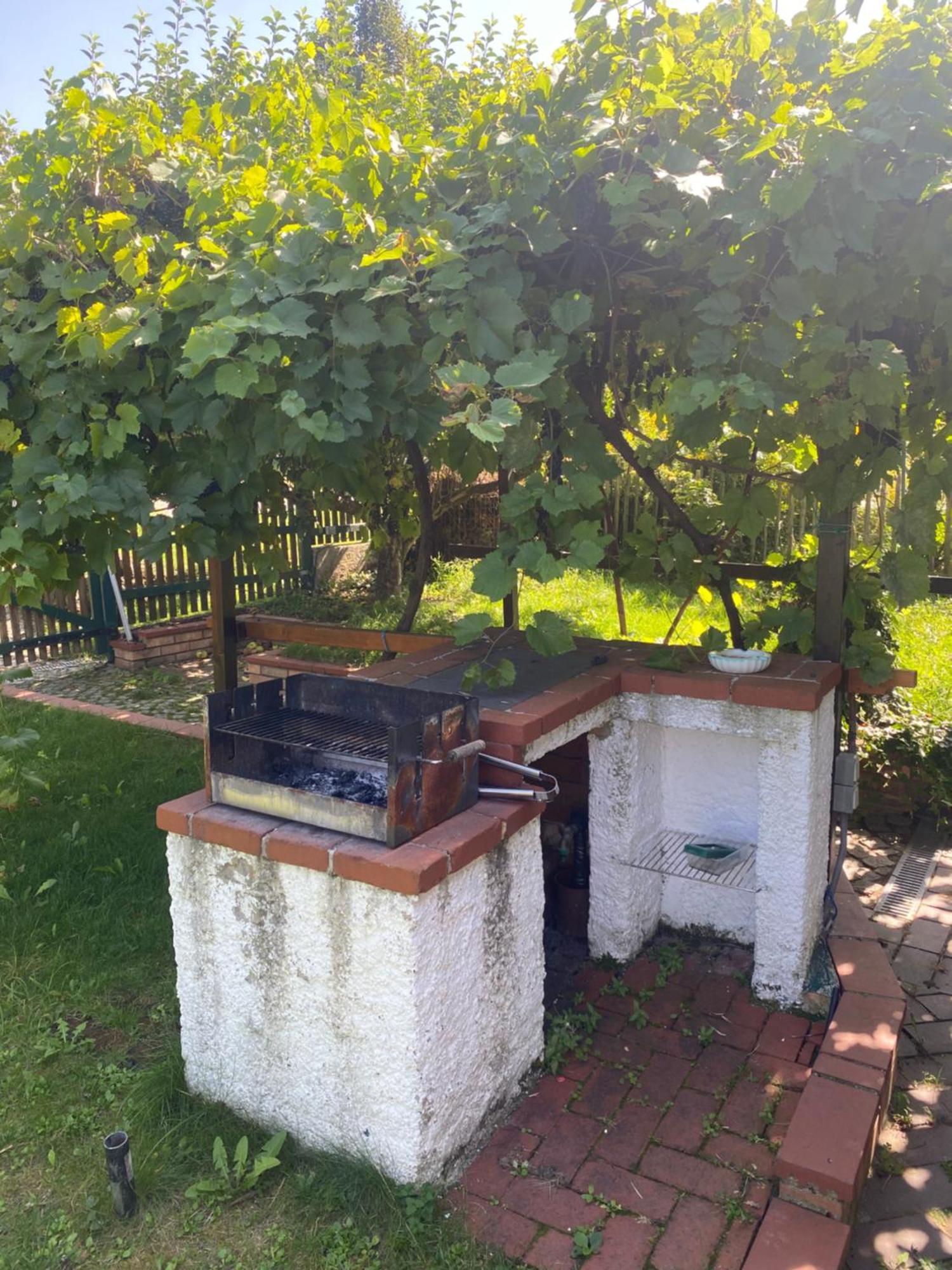 Landhaus Nitsch Appartement - Gaestehaus Nitsch Appartement Prinzendorf an Der Zaya المظهر الخارجي الصورة